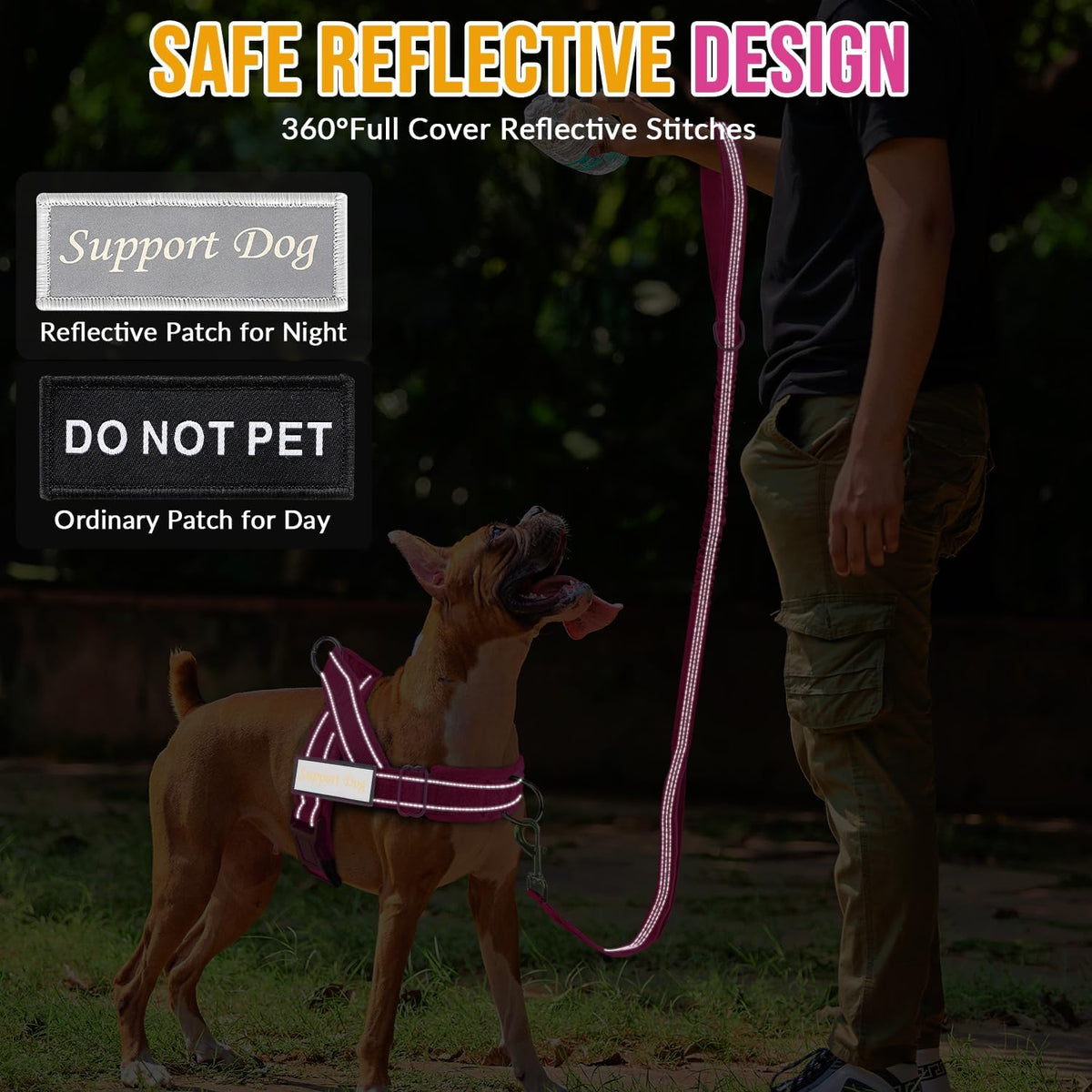 No Pull Dog Harness and Leash Set - Heavy Duty, Soft Padded