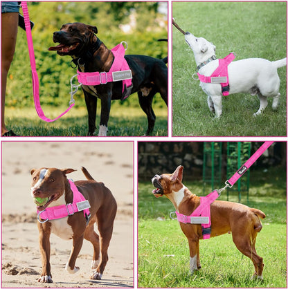 No Pull Dog Harness and Leash Set - Heavy Duty, Soft Padded