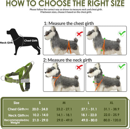 No Pull Dog Harness and Leash Set - Heavy Duty, Soft Padded