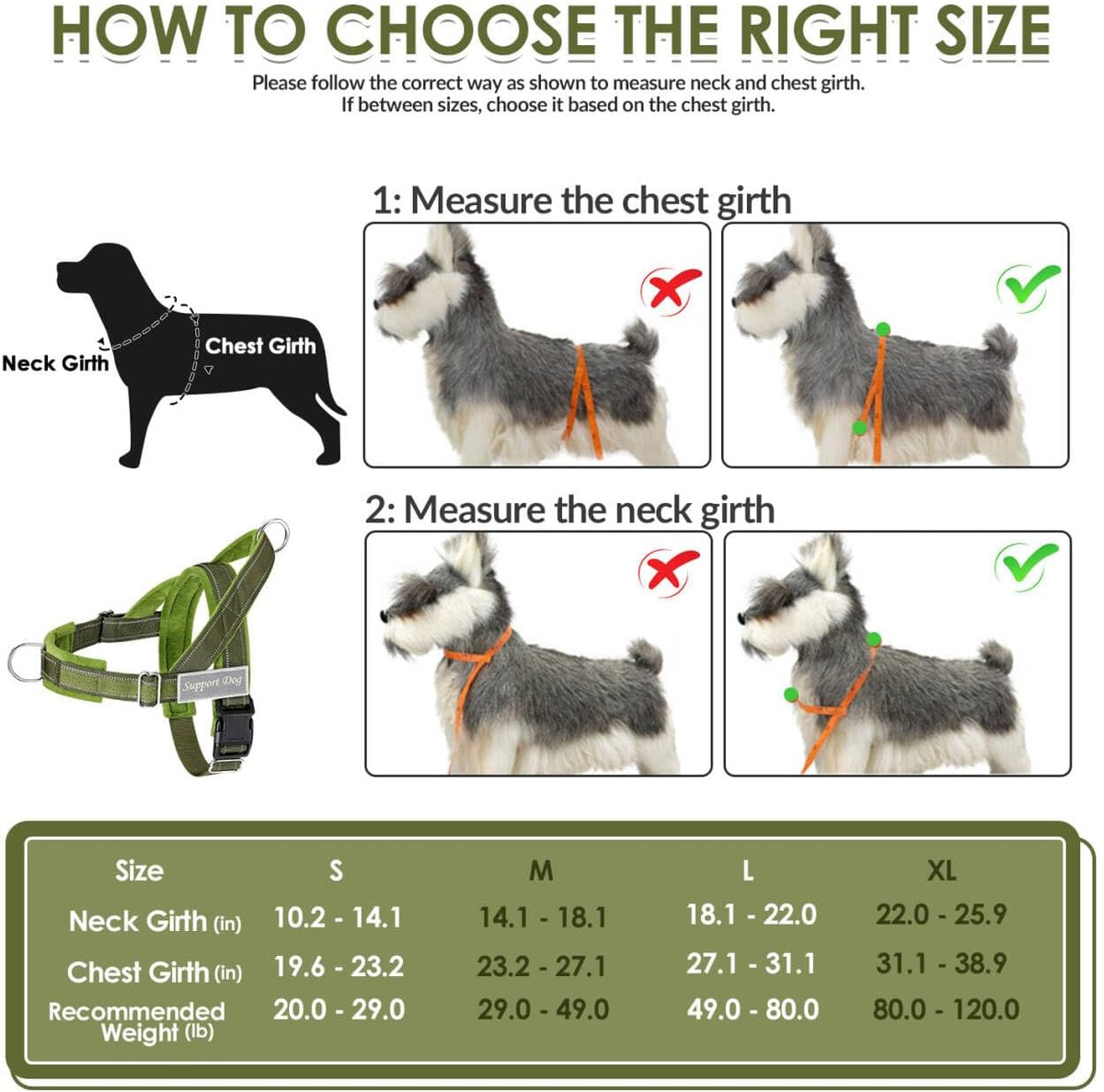 No Pull Dog Harness and Leash Set - Heavy Duty, Soft Padded