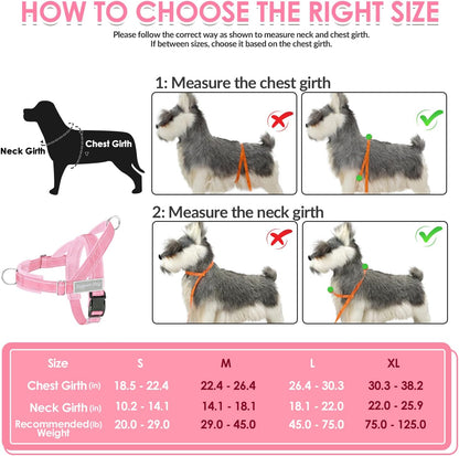 No Pull Dog Harness and Leash Set - Heavy Duty, Soft Padded