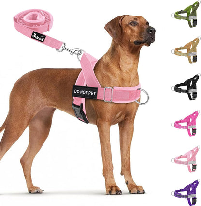 No Pull Dog Harness and Leash Set - Heavy Duty, Soft Padded