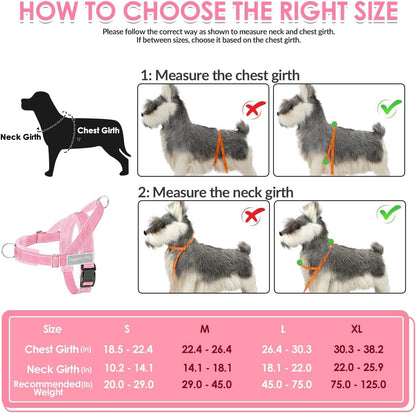 No Pull Dog Harness and Leash Set - Heavy Duty, Soft Padded