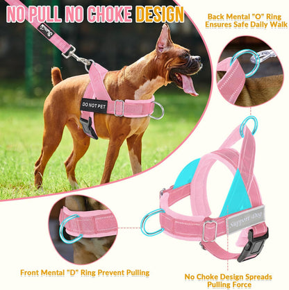 No Pull Dog Harness and Leash Set - Heavy Duty, Soft Padded