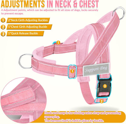 No Pull Dog Harness and Leash Set - Heavy Duty, Soft Padded