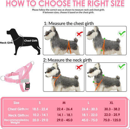 No Pull Dog Harness and Leash Set - Heavy Duty, Soft Padded