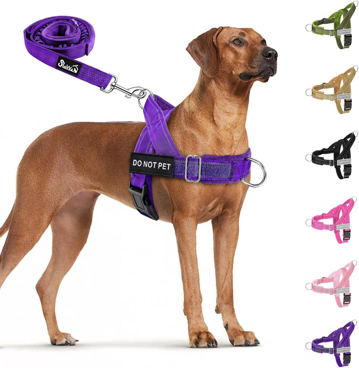 No Pull Dog Harness and Leash Set - Heavy Duty, Soft Padded
