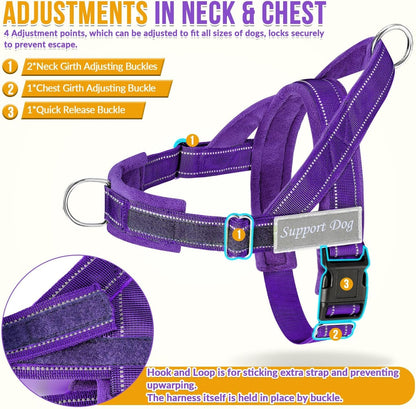 No Pull Dog Harness and Leash Set - Heavy Duty, Soft Padded