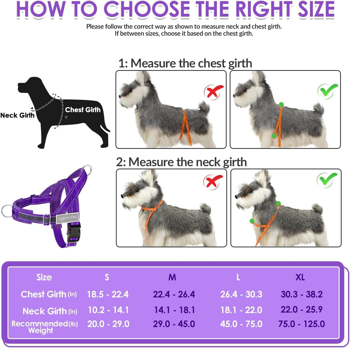 No Pull Dog Harness and Leash Set - Heavy Duty, Soft Padded