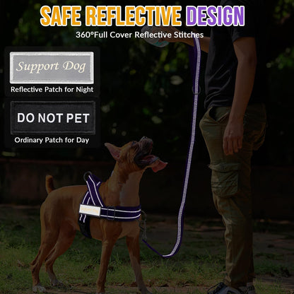 No Pull Dog Harness and Leash Set - Heavy Duty, Soft Padded