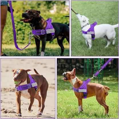 No Pull Dog Harness and Leash Set - Heavy Duty, Soft Padded