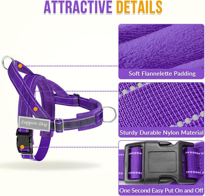 No Pull Dog Harness and Leash Set - Heavy Duty, Soft Padded