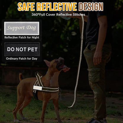 No Pull Dog Harness and Leash Set - Heavy Duty, Soft Padded