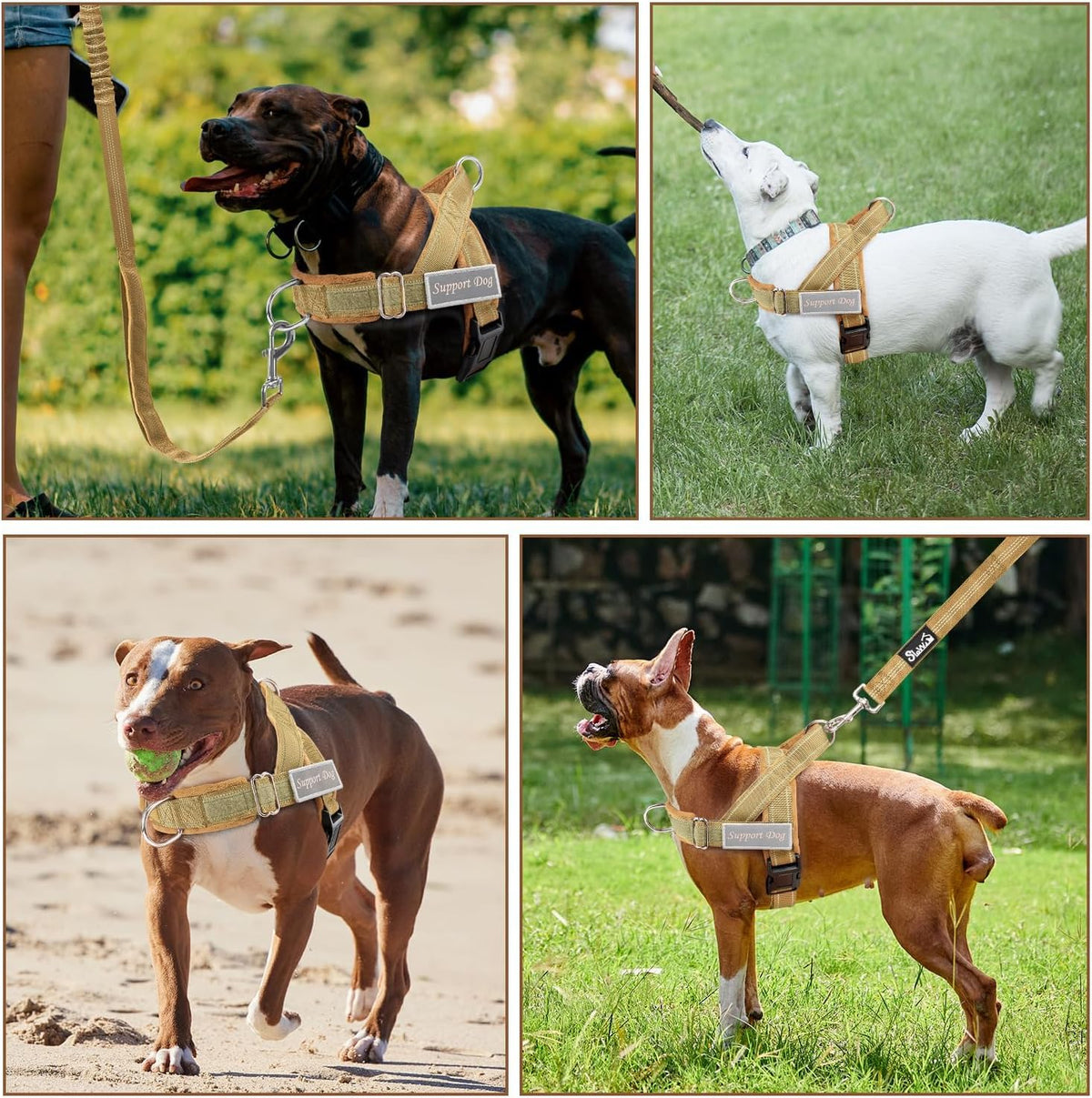 No Pull Dog Harness and Leash Set - Heavy Duty, Soft Padded