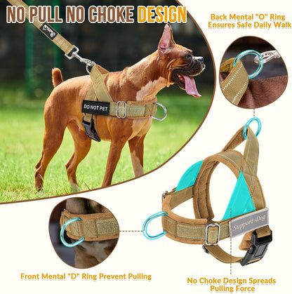No Pull Dog Harness and Leash Set - Heavy Duty, Soft Padded