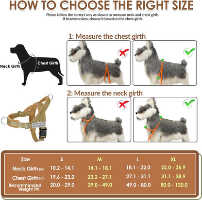 No Pull Dog Harness and Leash Set - Heavy Duty, Soft Padded