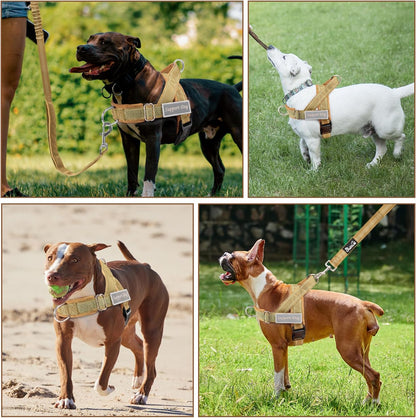 No Pull Dog Harness and Leash Set - Heavy Duty, Soft Padded
