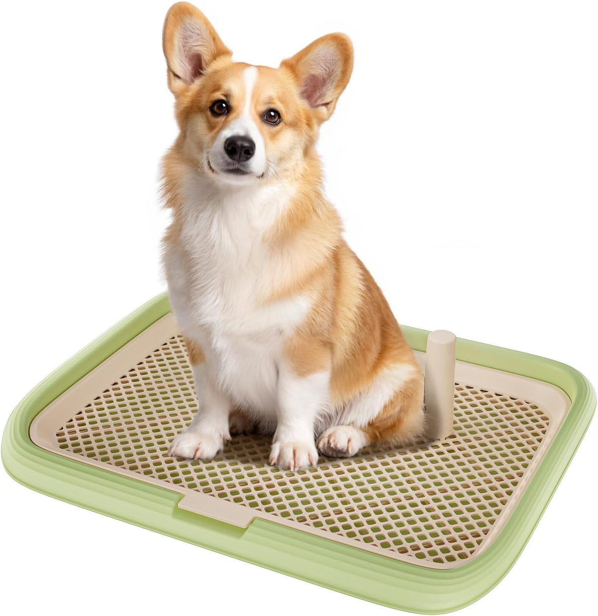 Dog Potty Tray, 23.6"x17.68" Indoor Pet Pee Pad Holder,Puppy Training Holder,Bathroom Dog Litter Box, Pet Toilet for Small and Medium Dogs,Housebreaking Supplies, Pet Products (Green)