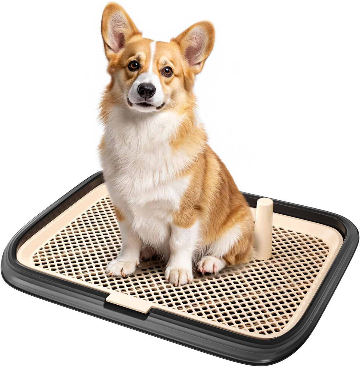 Dog Potty Tray, 23.6"x17.68" Indoor Pet Pee Pad Holder,Puppy Training Holder,Bathroom Dog Litter Box, Pet Toilet for Small and Medium Dogs,Housebreaking Supplies, Pet Products (Green)