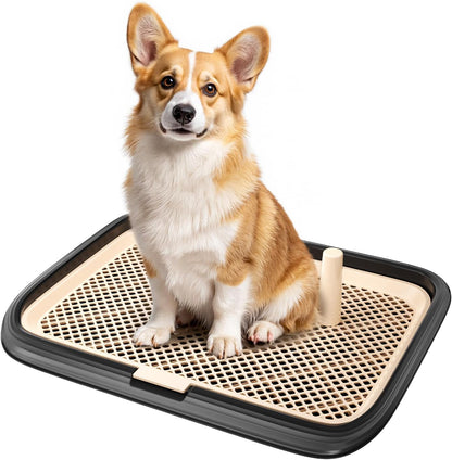 Dog Potty Tray, 23.6"x17.68" Indoor Pet Pee Pad Holder,Puppy Training Holder,Bathroom Dog Litter Box, Pet Toilet for Small and Medium Dogs,Housebreaking Supplies, Pet Products (Green)