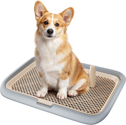 Dog Potty Tray, 23.6"x17.68" Indoor Pet Pee Pad Holder,Puppy Training Holder,Bathroom Dog Litter Box, Pet Toilet for Small and Medium Dogs,Housebreaking Supplies, Pet Products (Green)