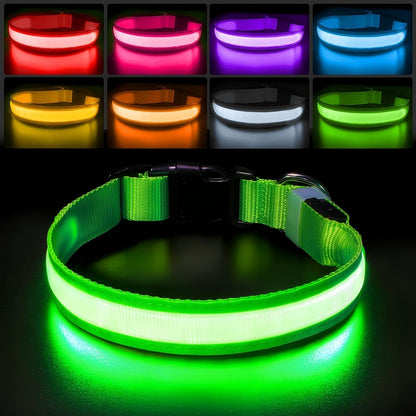 PcEoTllar Light up Dog Collar, Safe for Night Walking, Adjustable, Green, M