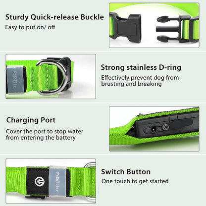 PcEoTllar Light up Dog Collar, Safe for Night Walking, Adjustable, Green, M