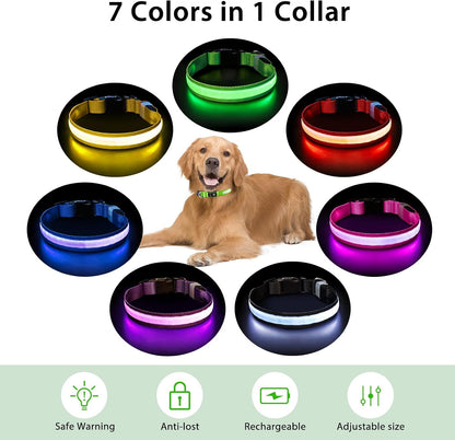 PcEoTllar Light up Dog Collar, Safe for Night Walking, Adjustable, Green, M