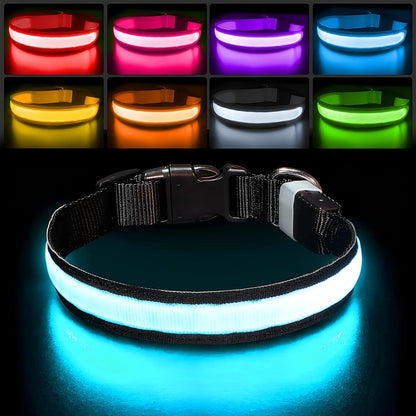 PcEoTllar Light up Dog Collar, Safe for Night Walking, Adjustable, Green, M