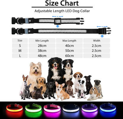 PcEoTllar Light up Dog Collar, Safe for Night Walking, Adjustable, Green, M