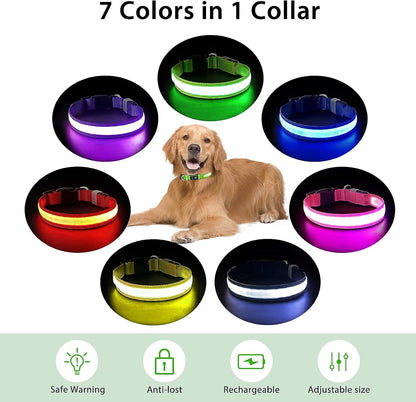PcEoTllar Light up Dog Collar, Safe for Night Walking, Adjustable, Green, M