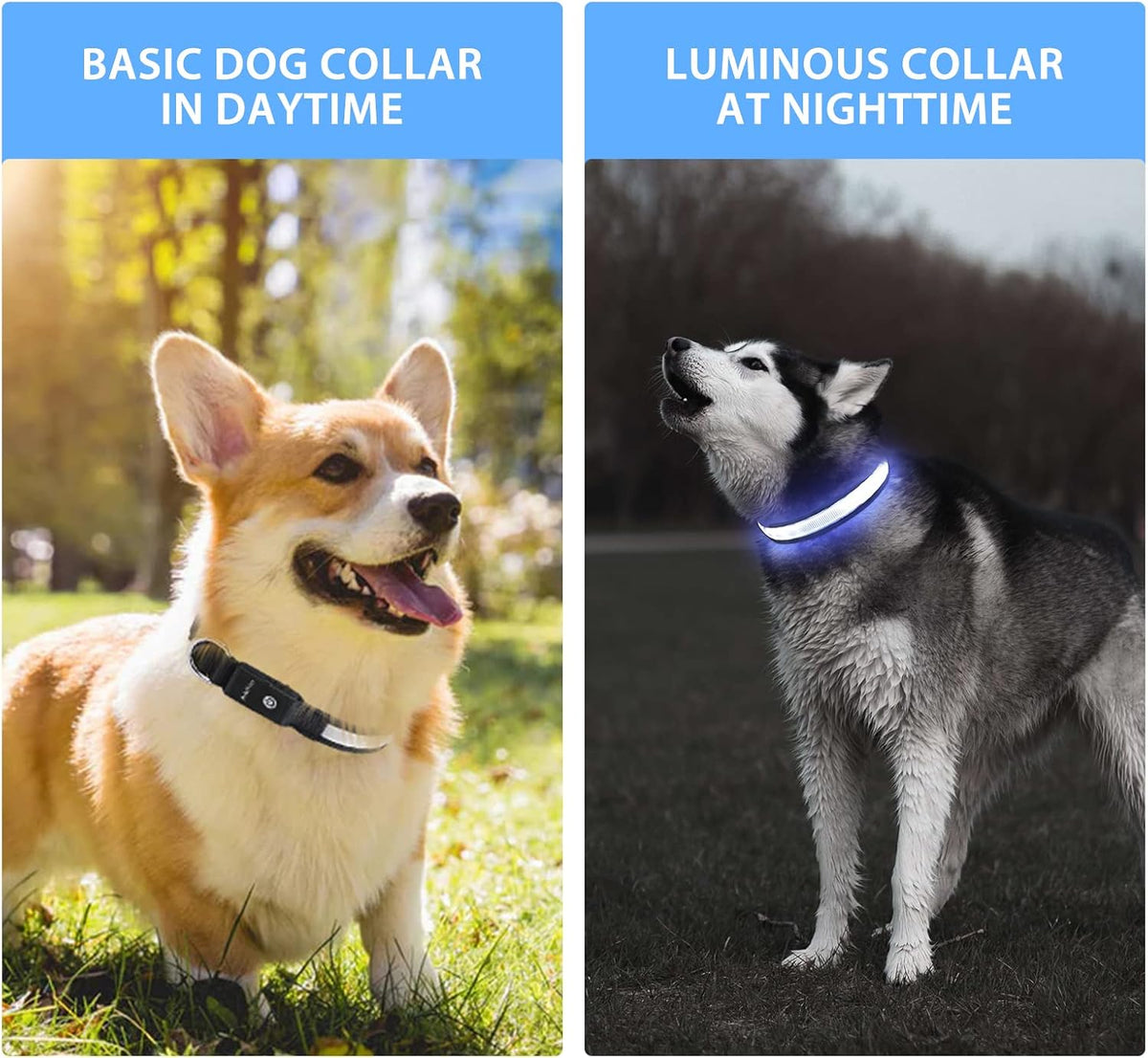 PcEoTllar Light up Dog Collar, Safe for Night Walking, Adjustable, Green, M