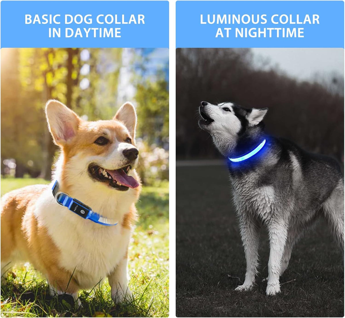 PcEoTllar Light up Dog Collar, Safe for Night Walking, Adjustable, Green, M