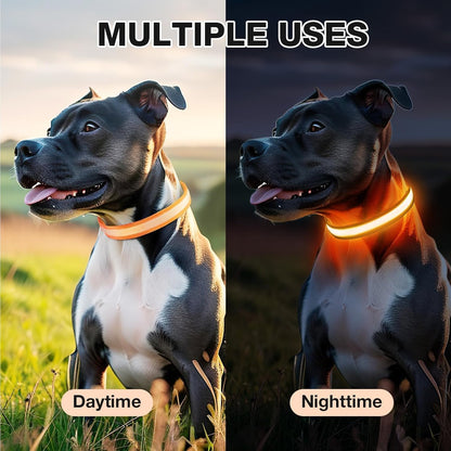PcEoTllar Light up Dog Collar, Safe for Night Walking, Adjustable, Green, M
