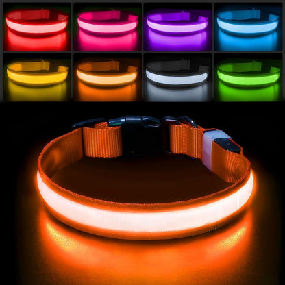 PcEoTllar Light up Dog Collar, Safe for Night Walking, Adjustable, Green, M