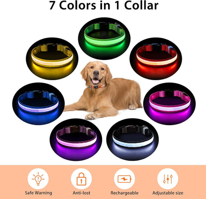PcEoTllar Light up Dog Collar, Safe for Night Walking, Adjustable, Green, M