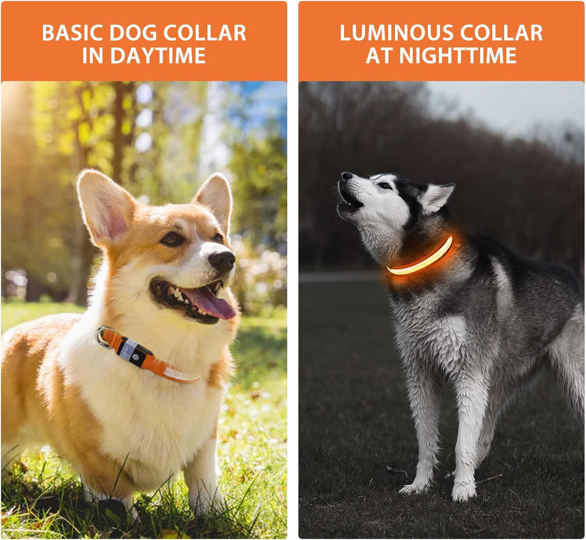 PcEoTllar Light up Dog Collar, Safe for Night Walking, Adjustable, Green, M