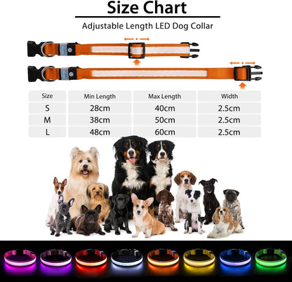 PcEoTllar Light up Dog Collar, Safe for Night Walking, Adjustable, Green, M
