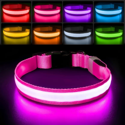 PcEoTllar Light up Dog Collar, Safe for Night Walking, Adjustable, Green, M