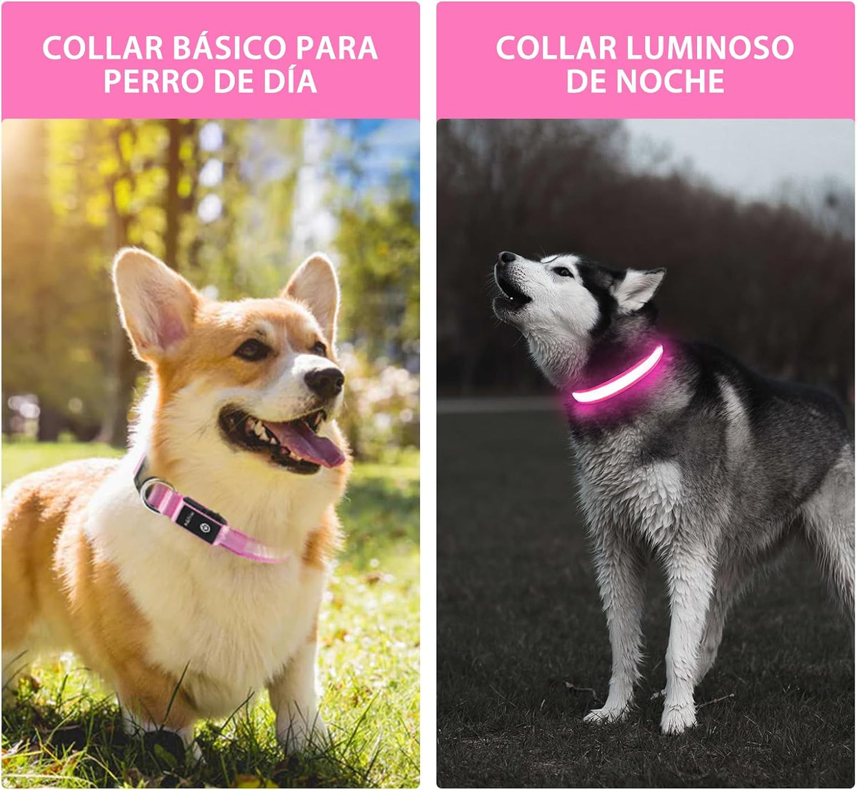 PcEoTllar Light up Dog Collar, Safe for Night Walking, Adjustable, Green, M