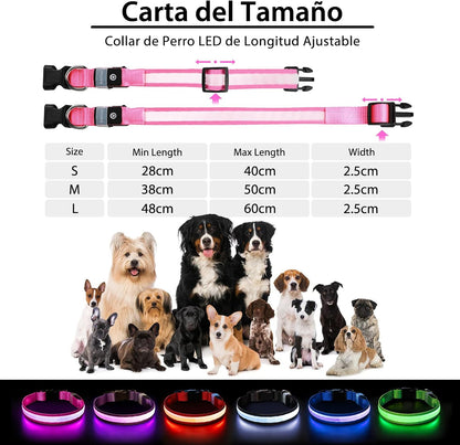 PcEoTllar Light up Dog Collar, Safe for Night Walking, Adjustable, Green, M