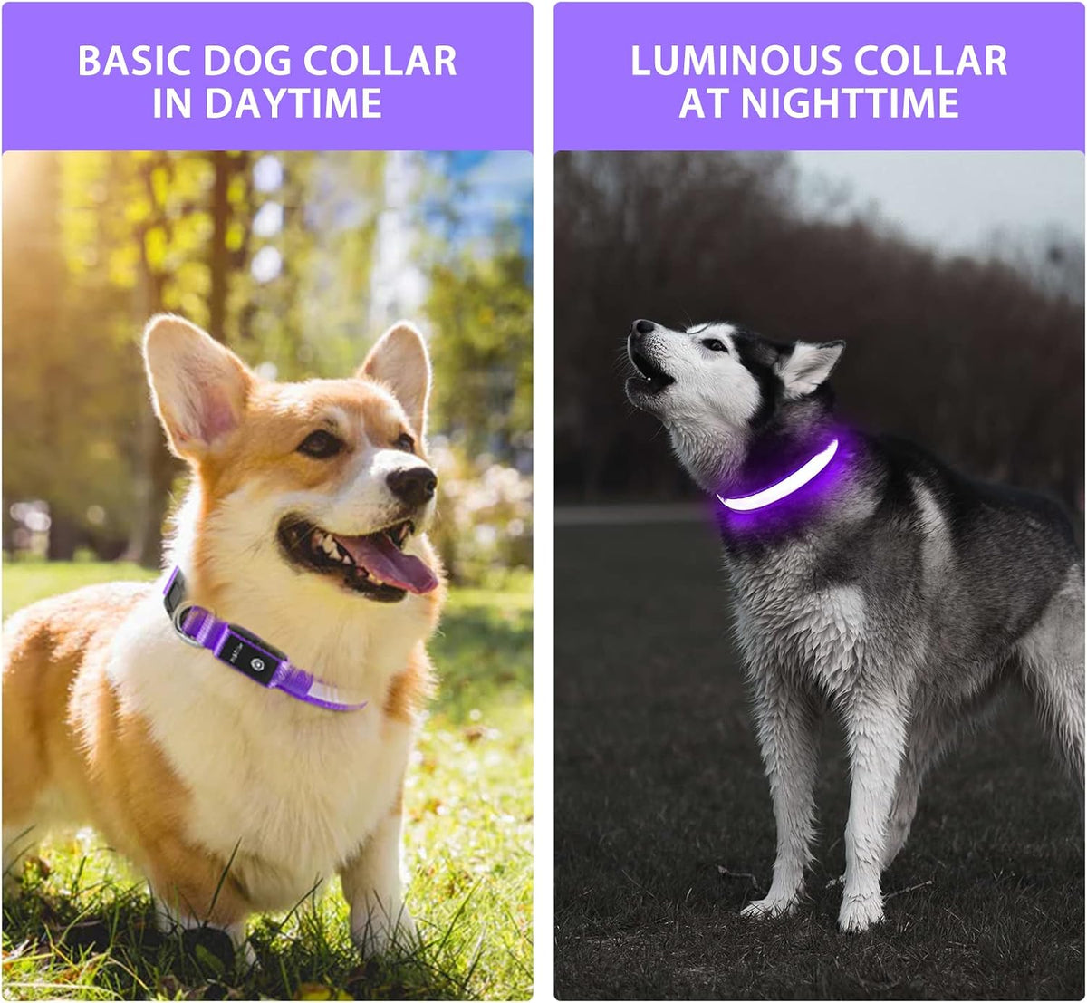 PcEoTllar Light up Dog Collar, Safe for Night Walking, Adjustable, Green, M