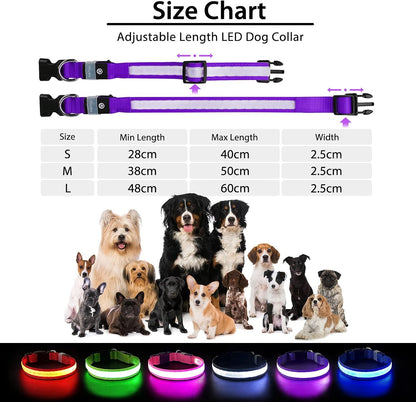 PcEoTllar Light up Dog Collar, Safe for Night Walking, Adjustable, Green, M