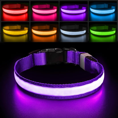 PcEoTllar Light up Dog Collar, Safe for Night Walking, Adjustable, Green, M