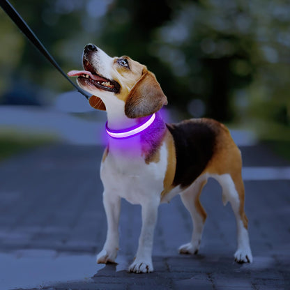 PcEoTllar Light up Dog Collar, Safe for Night Walking, Adjustable, Green, M
