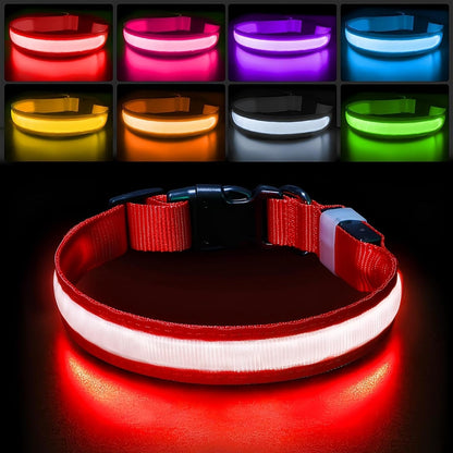 PcEoTllar Light up Dog Collar, Safe for Night Walking, Adjustable, Green, M