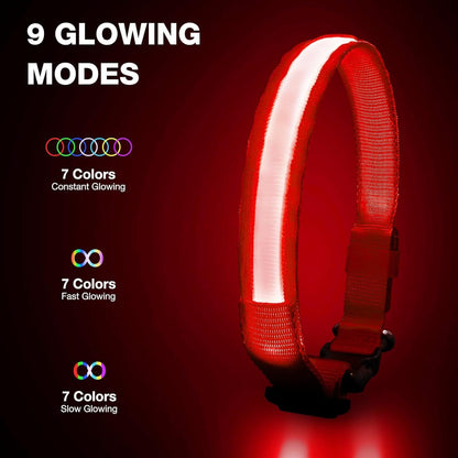 PcEoTllar Light up Dog Collar, Safe for Night Walking, Adjustable, Green, M