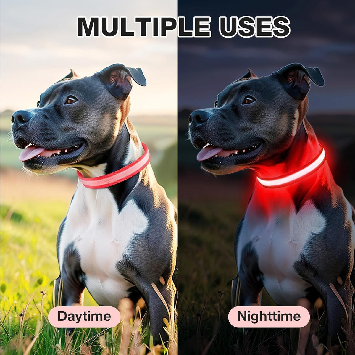 PcEoTllar Light up Dog Collar, Safe for Night Walking, Adjustable, Green, M