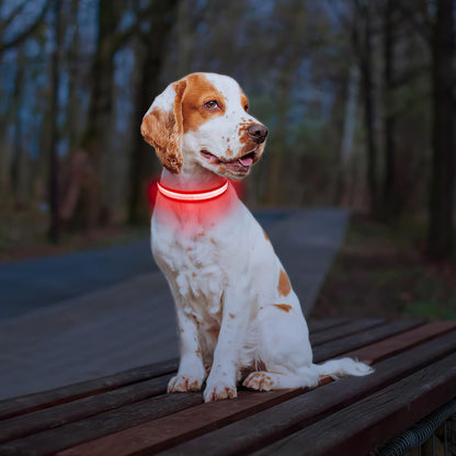 PcEoTllar Light up Dog Collar, Safe for Night Walking, Adjustable, Green, M