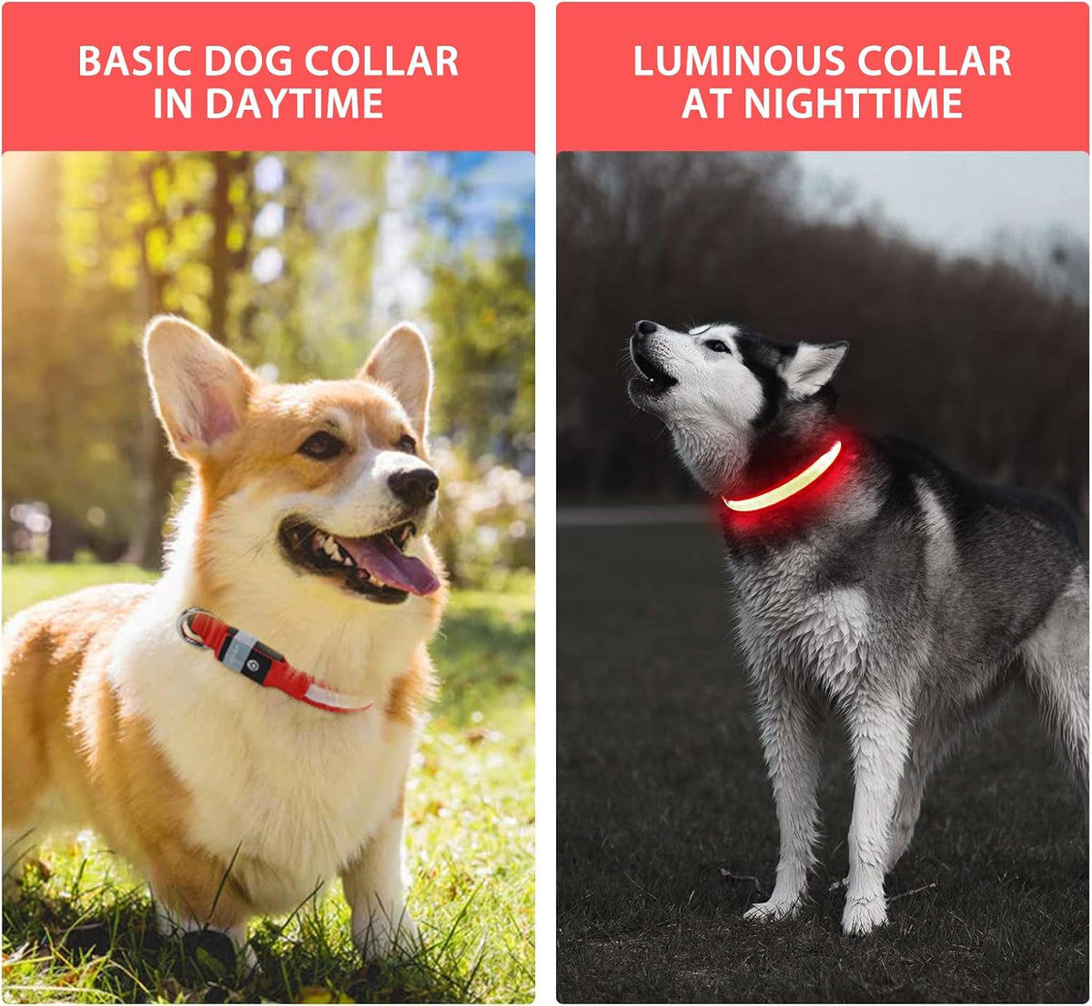 PcEoTllar Light up Dog Collar, Safe for Night Walking, Adjustable, Green, M